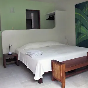 Elements Of The Island Mexico