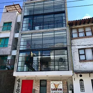 Apartment Lofts On Basilio